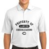 Tech Sport Dri FIT Polo Thumbnail
