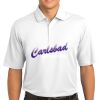 Tech Sport Dri FIT Polo Thumbnail